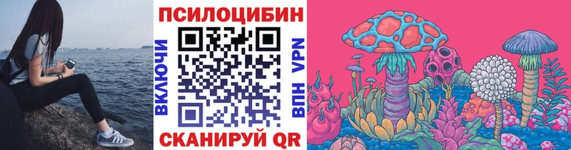 Галлюциногенные грибы Magic Shrooms  Купить закладки  Малая Вишера 