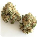 Шишки "White Widow"  (Белая вдова)  Гидропоника -  Бошка VHQ в Малой Вишере