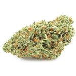 Шишки OG Kush  (Гидропоника, бошки) VHQ в Малой Вишере